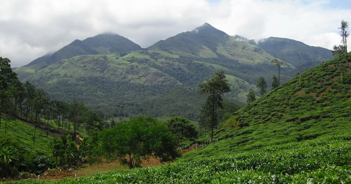 Scenic outstation road trip through Wayanad hills